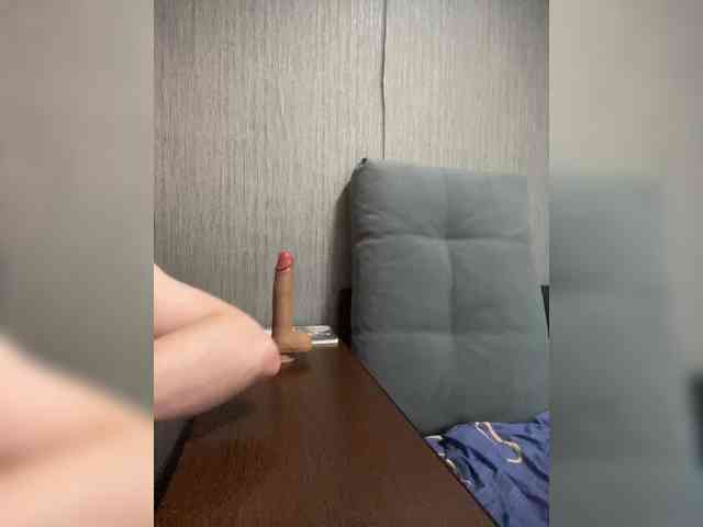 INQUSIT0R webcam