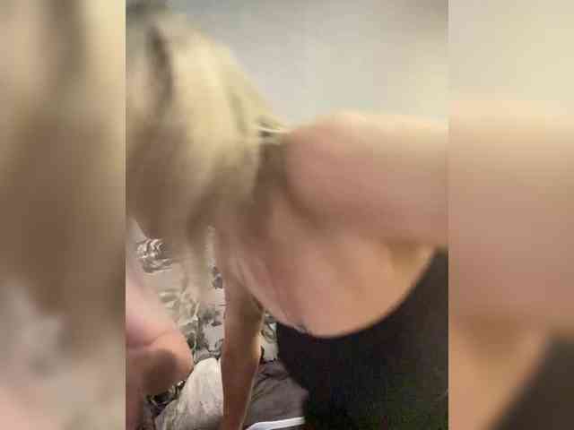 INQUSIT0R webcam
