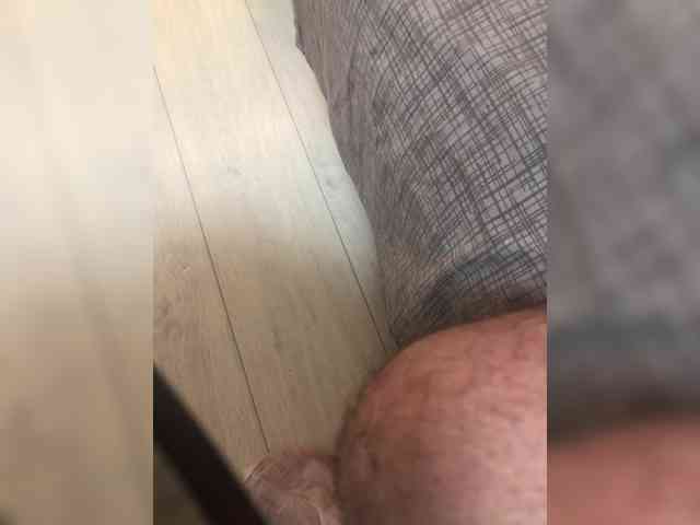 INQUSIT0R webcam
