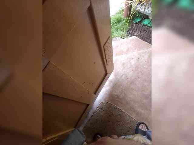 Mail921 Mail921