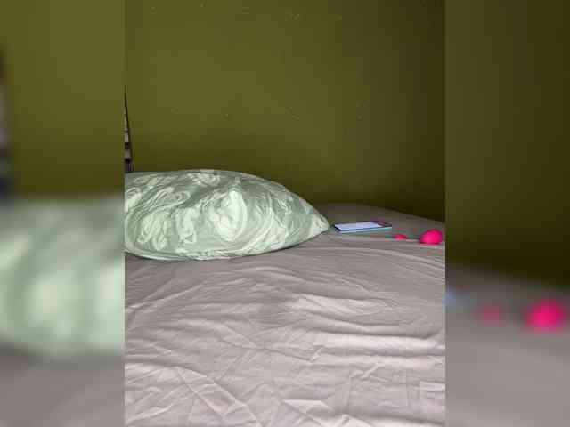 WIDEHIPS webcam