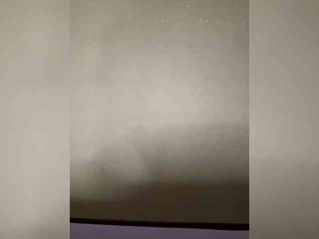 WIDEHIPS webcam