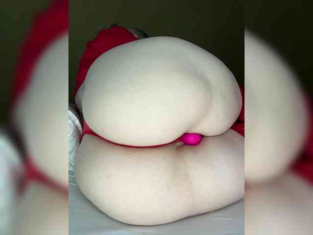 WIDEHIPS webcam