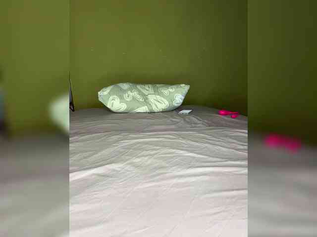 WIDEHIPS webcam