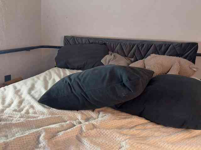 Darnot webcam