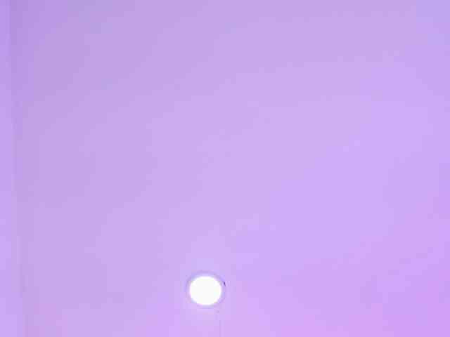 alexa-n-alex webcam