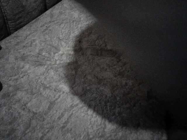 EroticEve1