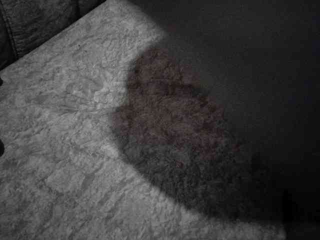 EroticEve1