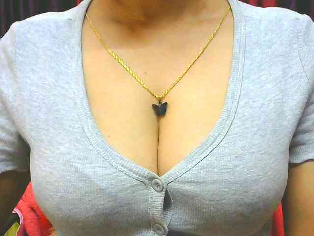 Aarju webcam