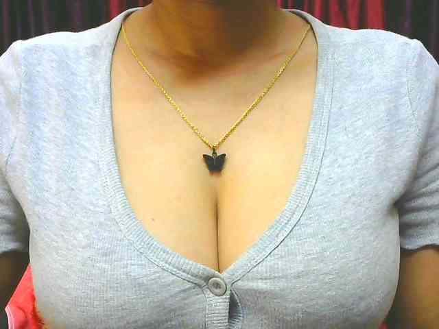 Aarju webcam