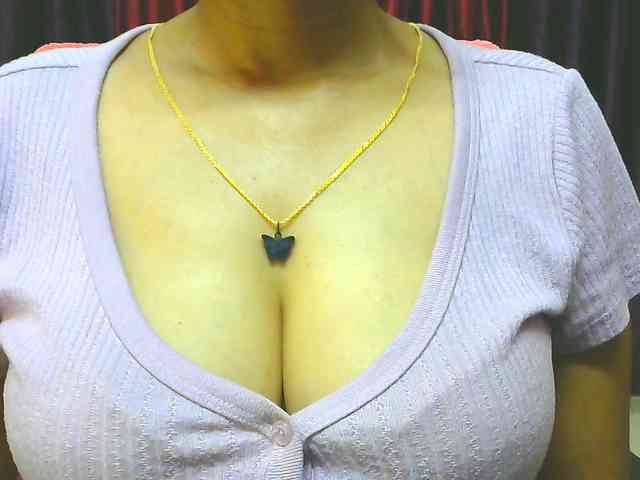 Aarju webcam