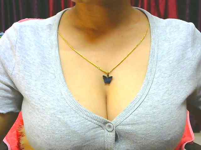Aarju webcam