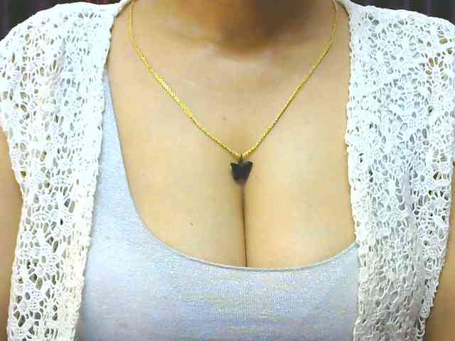 Aarju webcam