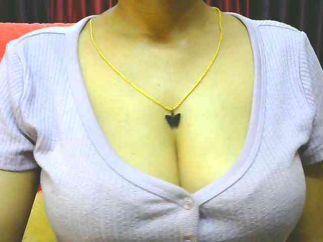 Aarju webcam