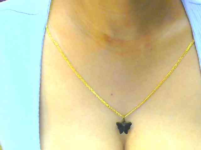 Aarju webcam