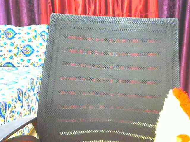 Aarju webcam