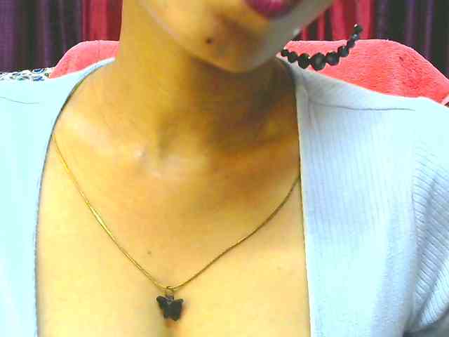 Aarju webcam