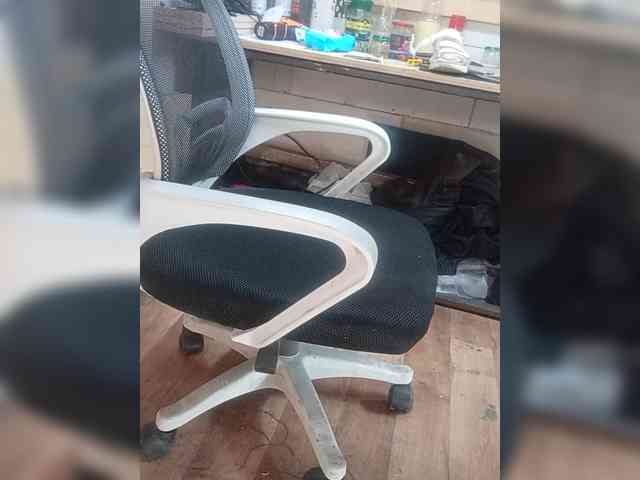 Angelbs1 Angelbs1