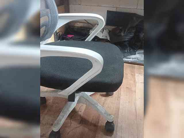 Angelbs1 Live Webcam on BongaCams