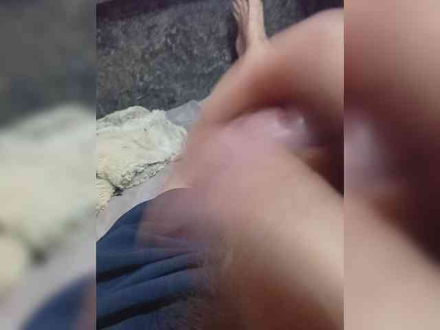 Angelbs1