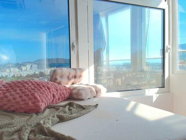 IrisMonn live cam on BongaCams