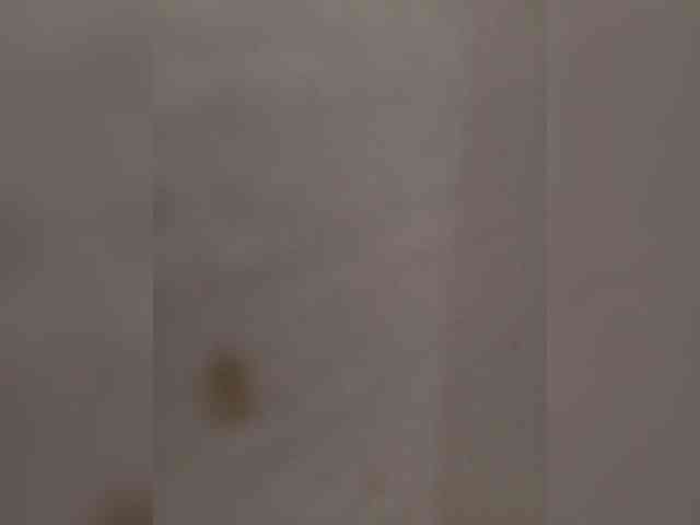 sexygiboy webcam