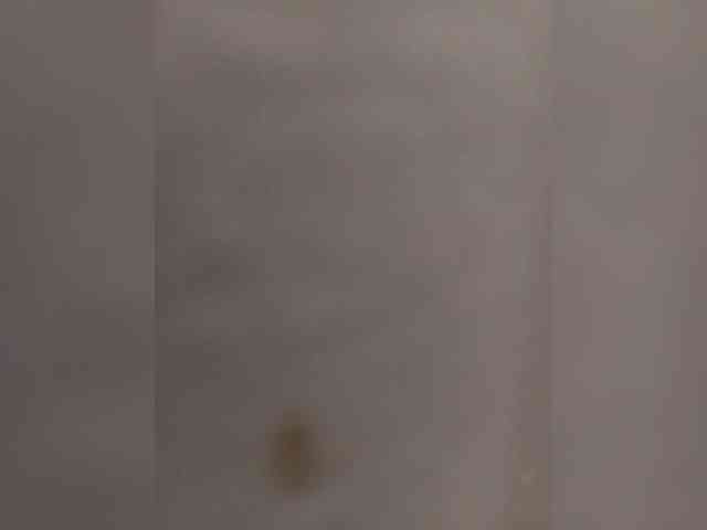 sexygiboy webcam