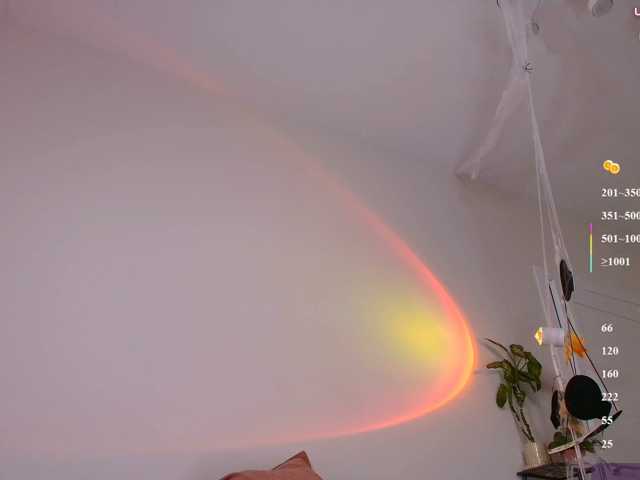 MiamiMur
