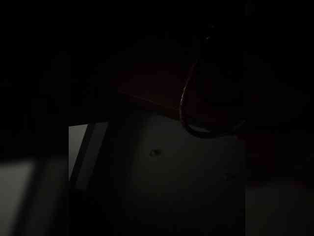MiamiMur