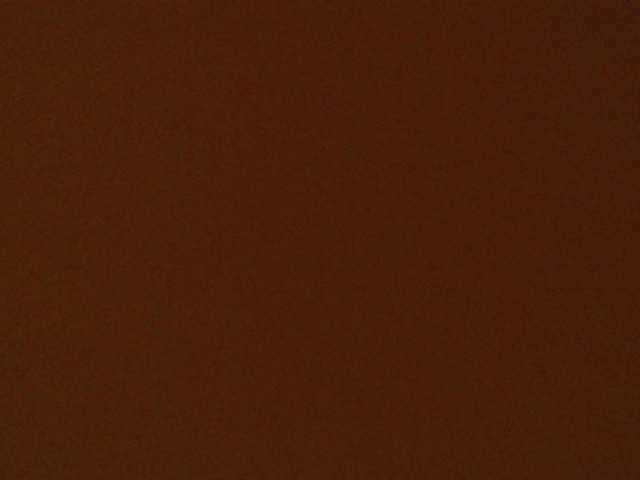 ShantalBBW live cam on BongaCams