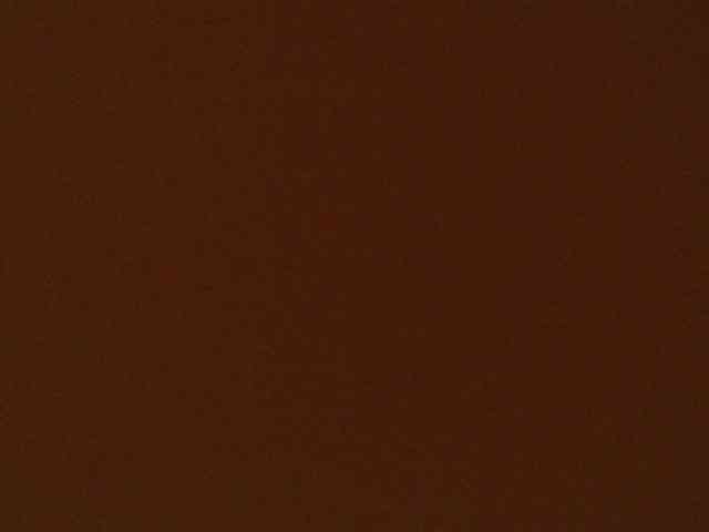 ShantalBBW webcam