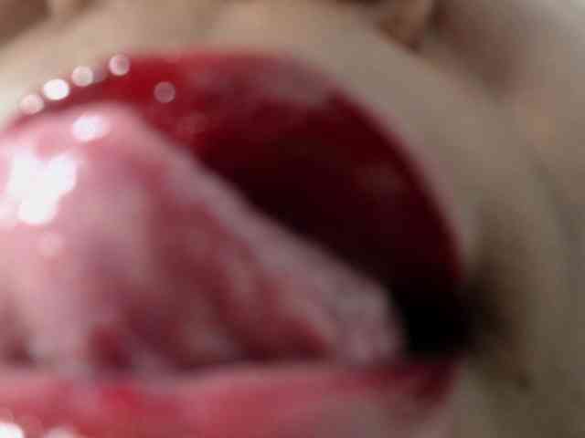 ShantalBBW webcam