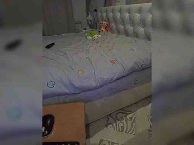 MAMULY webcam