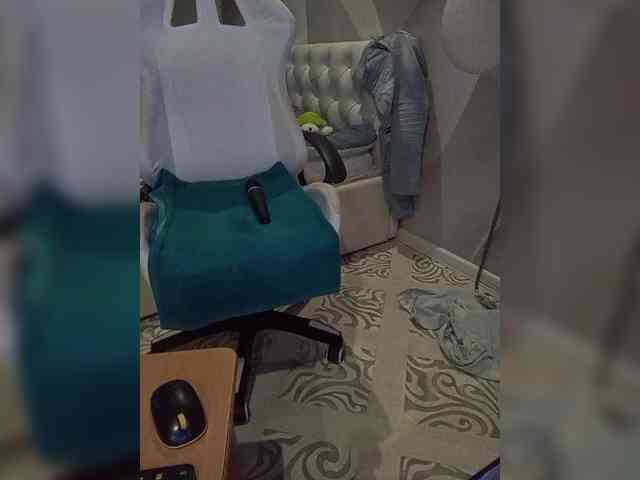 MAMULY webcam