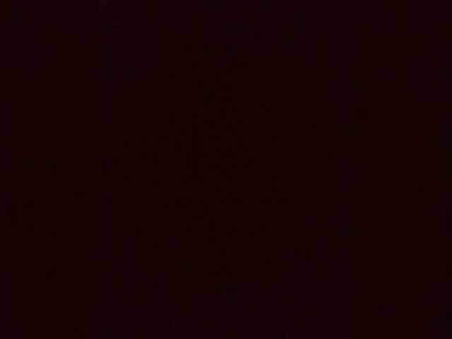 MAMULY webcam