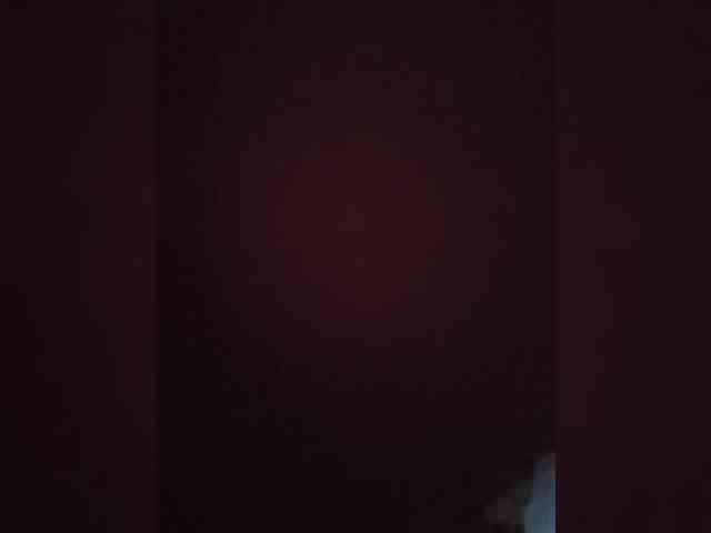 Artyr959kot