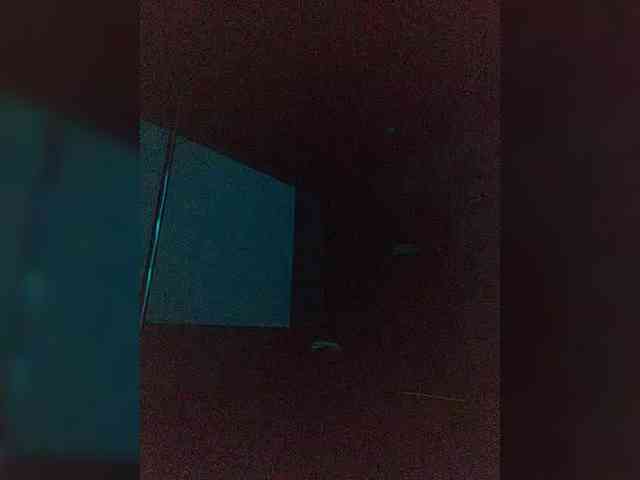 Evangelina2909rus webcam