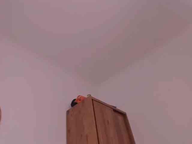 Timissi webcam