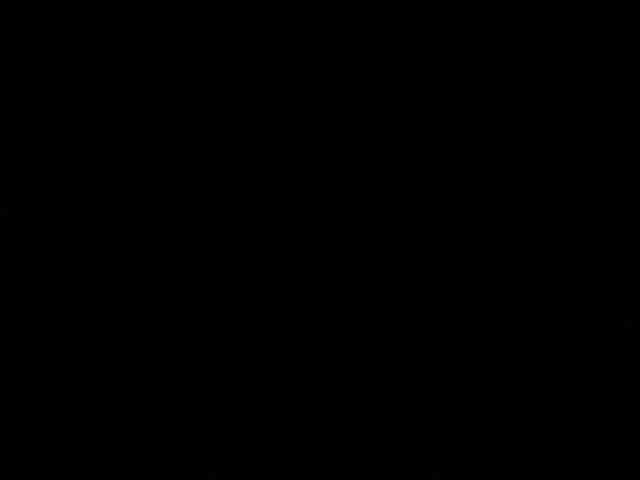 Bars17cm