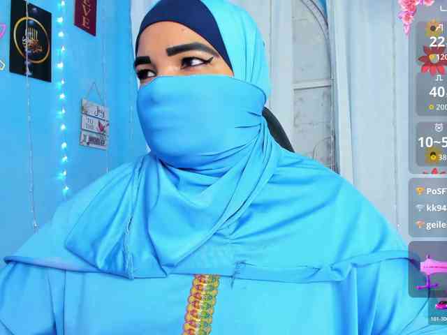 Falakyasin's cam show statistics and live stream