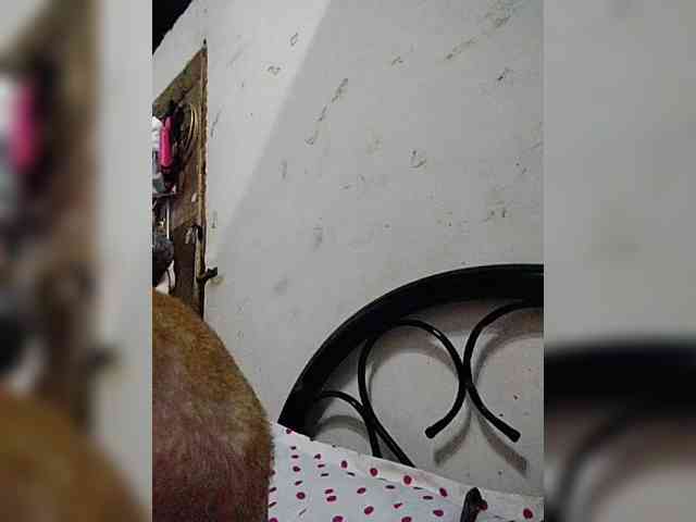 cherrywhite03 webcam