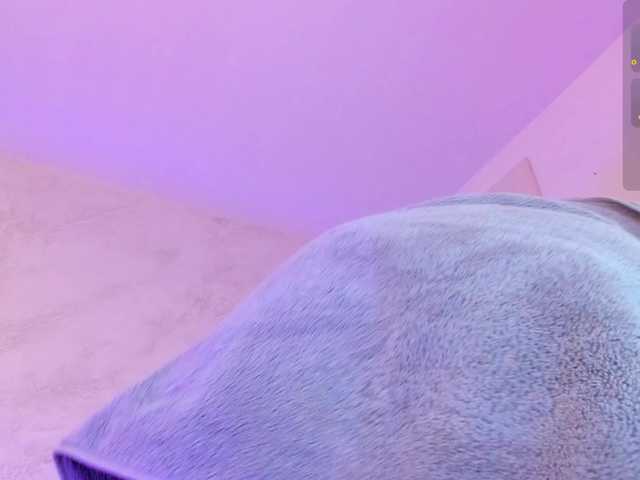 lissababe live cam on BongaCams
