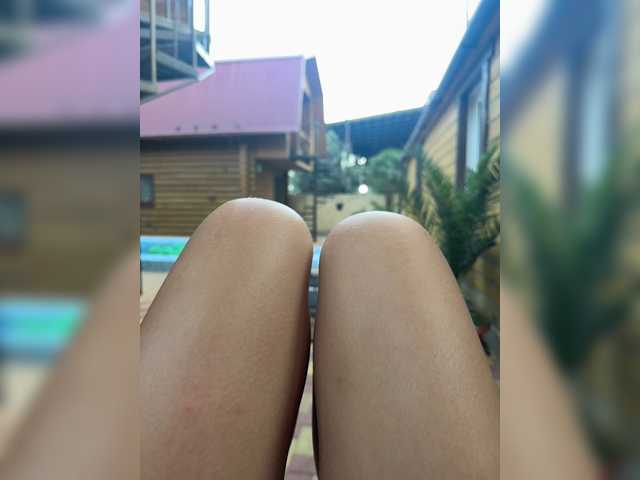 Nestyzz