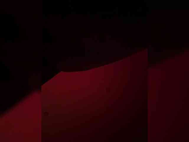 zephyrkka webcam