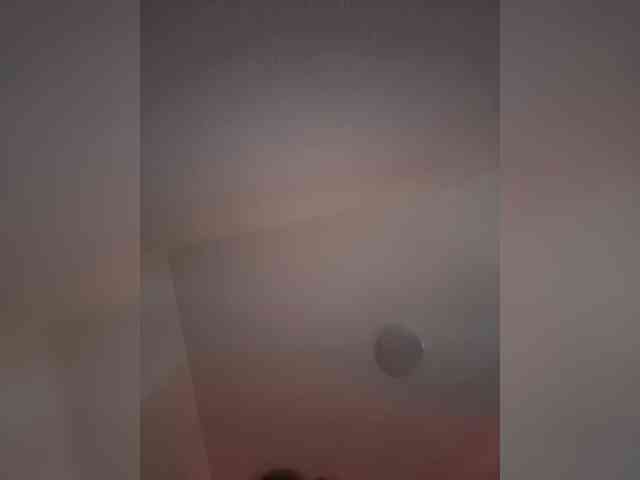 Nestyzz webcam