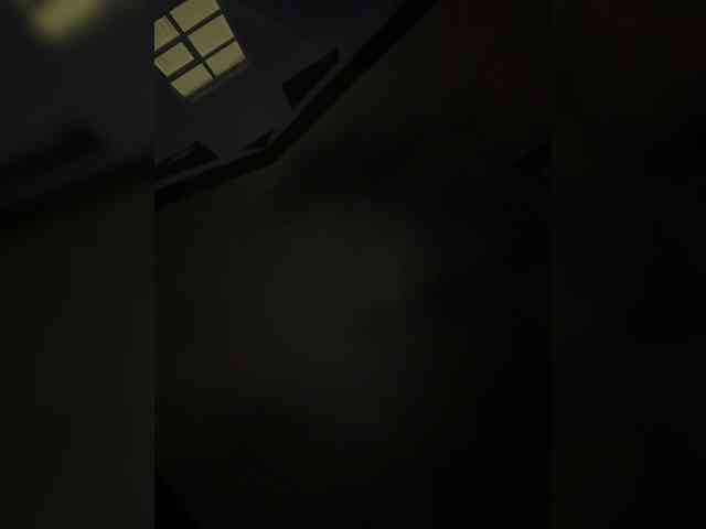 Nestyzz webcam