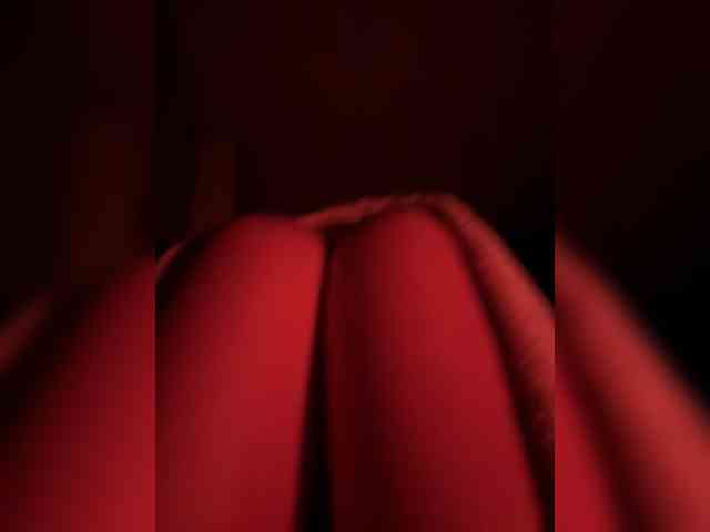 Nestyzz webcam