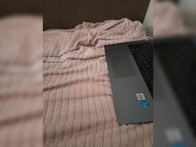 Nestyzz webcam