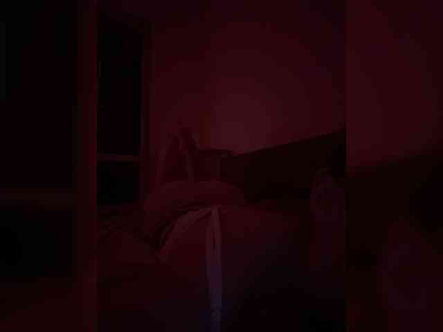 Nestyzz webcam