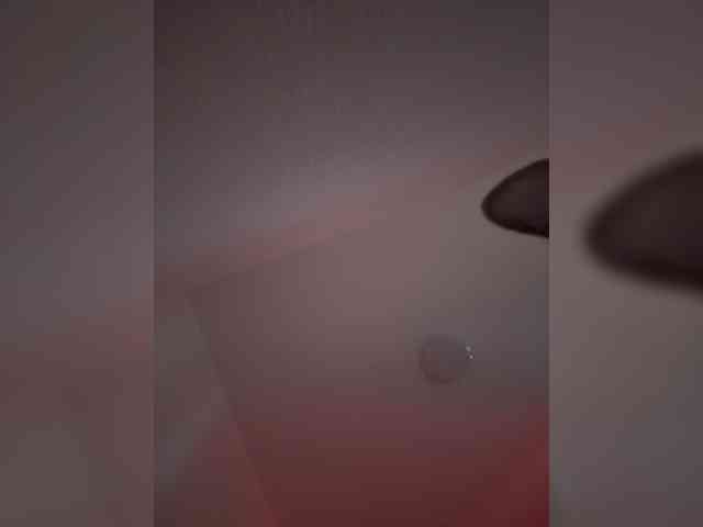Nestyzz webcam